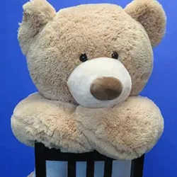 Mr. LIVE UNITED Bear Mascot
